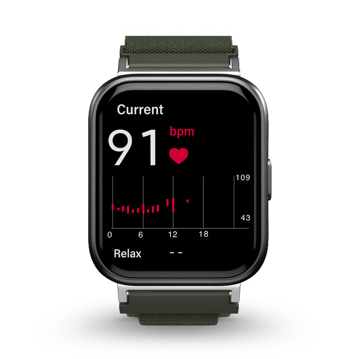 Alpine Loop for Health Smartwatch 3