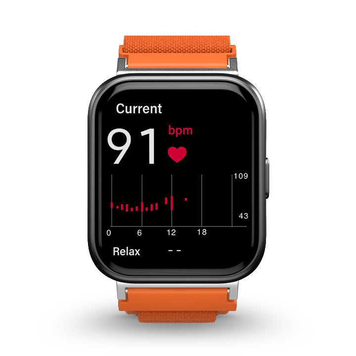 Alpine Loop for Health Smartwatch 3