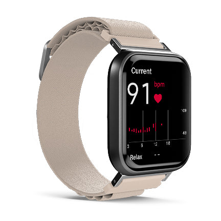 Alpine Loop for Health Smartwatch 3