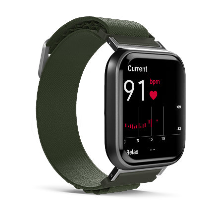 Alpine Loop for Health Smartwatch 3