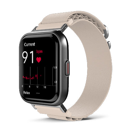 Alpine Loop for Health Smartwatch 3