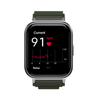 Alpine Loop for Health Smartwatch 3