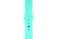 Sport-Band-Type-I-Spearmint