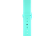 Sport-Band-Type-I-Spearmint